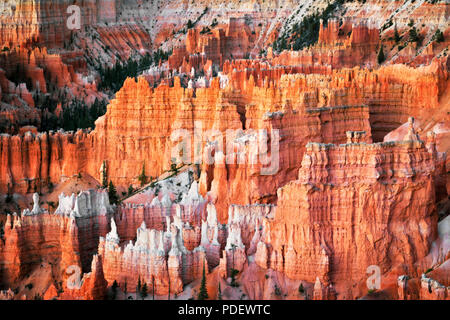 Die hoch aufragenden hoodoos Glühen am bürgerlichen Dämmerung vom Sunset Point in Utah Bryce Canyon National Park. Stockfoto