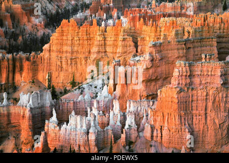 Die hoch aufragenden hoodoos Glühen am bürgerlichen Dämmerung vom Sunset Point in Utah Bryce Canyon National Park. Stockfoto