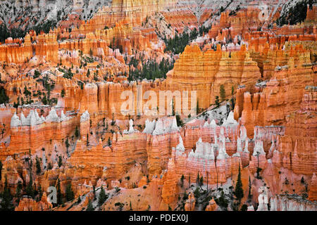 Die hoch aufragenden hoodoos Glühen am bürgerlichen Dämmerung vom Sunset Point in Utah Bryce Canyon National Park. Stockfoto