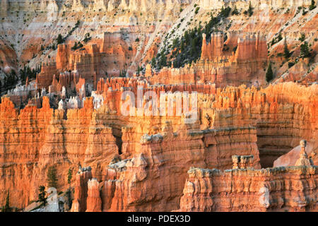 Die hoch aufragenden hoodoos Glühen am bürgerlichen Dämmerung vom Sunset Point in Utah Bryce Canyon National Park. Stockfoto