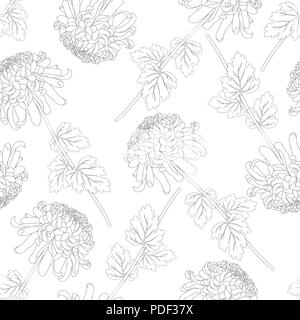 Chrysantheme Umrisse, Kiku japanische Blume nahtlose Hintergrund. Vector Illustration. Stock Vektor