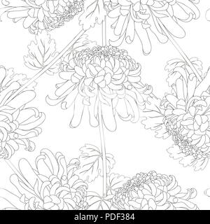 Chrysantheme Umrisse, Kiku japanische Blume nahtlose Hintergrund. Vector Illustration. Stock Vektor