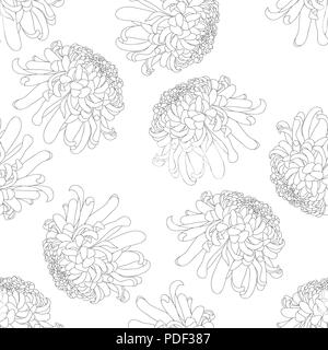 Chrysantheme Umrisse, Kiku japanische Blume nahtlose Hintergrund. Vector Illustration. Stock Vektor