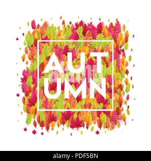 Hallo Herbst. Verschiedene farbige Blätter im Herbst Hintergrund. Vector Illustration Stock Vektor