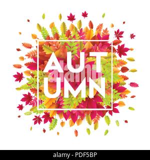 Hallo Herbst. Verschiedene farbige Blätter im Herbst Hintergrund. Vector Illustration Stock Vektor