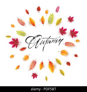 Hallo Herbst. Verschiedene farbige Blätter im Herbst Hintergrund. Vector Illustration Stock Vektor