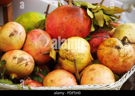 Granatäpfel in einen Gemüsehandel zu verkaufen Stockfoto