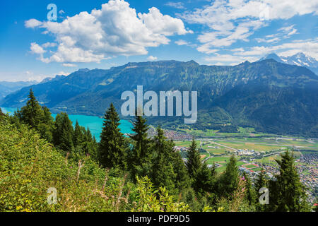 Blick von der Harderkulm in der Schweiz im Sommer Stockfoto