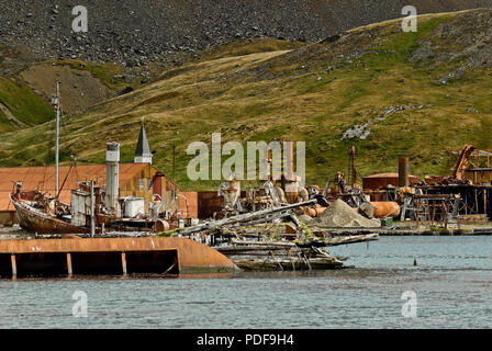 Verlassenen und verfallenen Walfang Schiff Petrep in Grytviken Harbour, South Georgia, Antarktis. Stockfoto