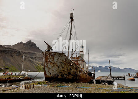 Verlassenen und verfallenen Walfang Schiff Petrep in Grytviken Harbour, South Georgia, Antarktis. Stockfoto