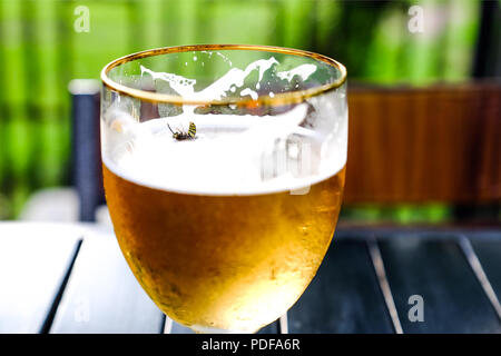 Die Biene fiel in der Cidre. Erfrischende Apfelwein auf einem Holztisch. Apfelwein in einem Glas Schale. Sommer Street Cafe. Vor dem Hintergrund der grünen Bäumen. Stockfoto