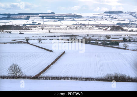 Allgemeine Ansicht der North Yorkshire Moors National Park in der Nähe von Helmsley im Schnee, UK. Stockfoto