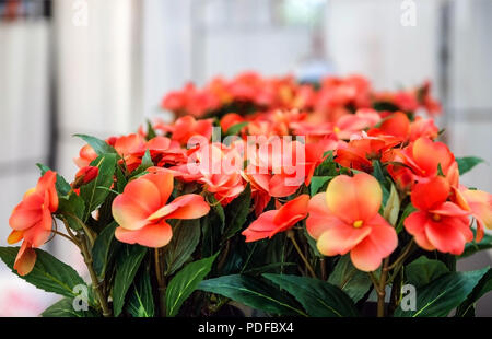 Künstliche rote und orange Blumen, Soft Focus. Unscharfer Hintergrund. Stockfoto