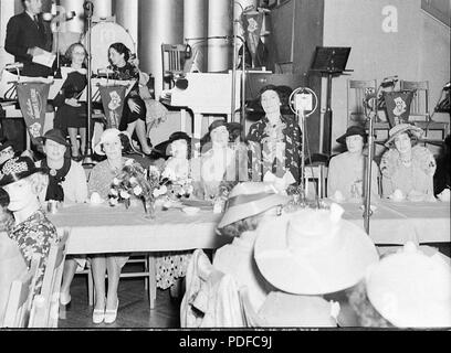 157 35759 SLNSW australischen Liga der Frauen Abendessen in Blaxland Galerie Stockfoto