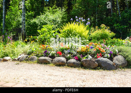 Landschaft gestalten. Büsche, Felsen Zwerg fichte Blumen Farn Stockfoto