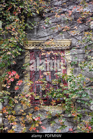 Beiruts verbleibenden architektonische Erbe ist in Gefahr. Abriss von alten Gebäuden ist eine tägliche Veranstaltung wo Hochhaus Wohnungen sind, die über die Stadt. Stockfoto