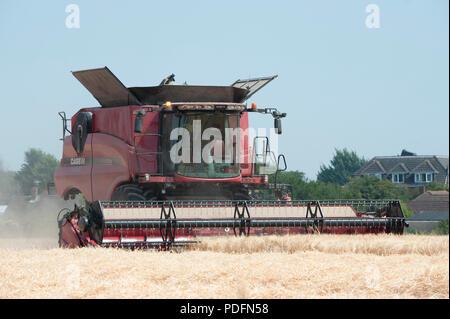 Ein Mähdrescher Schnitte Sommergerste in einem Feld in Hayling Island, Hampshire UK Stockfoto