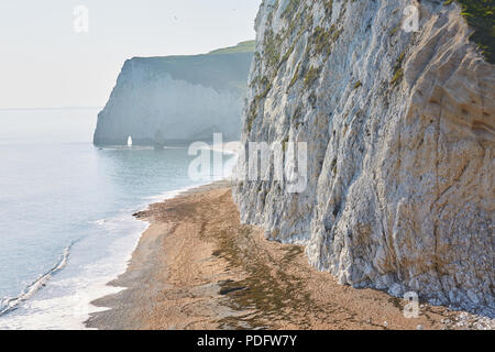 Suche in das Licht mit Blick auf Fledermäuse Kopf in der Nähe von Durdle Door mit weißen Felsen und einem goldenen Sandstrand an einem sonnigen Tag mit blauen Meer Wasser ein Stockfoto