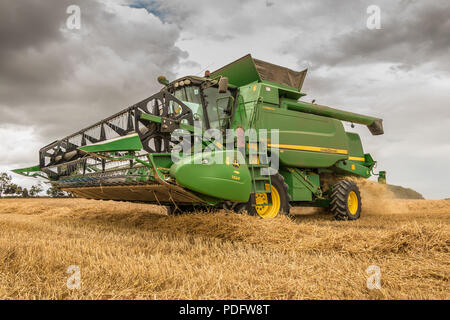 Großbritannien Landwirtschaft, ein John Deere Hillmaster Mähdrescher arbeiten auf einem Weizen, August 2018 Stockfoto