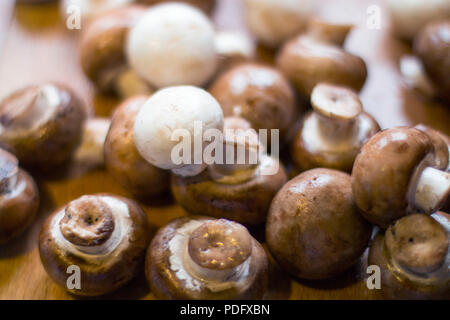 Champignons (Agaricus bisporus) Champignons de Paris, auf Küche Platte fertig gekocht zu werden. Stockfoto