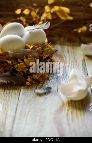 Weiße Eier im Nest mit Sprung in der Nähe von Es. Feder des Vogels und Niederlassungen Stockfoto