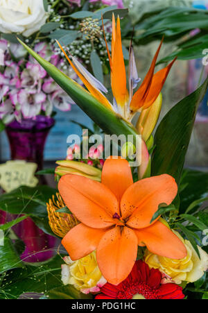 Bird Of Paradise floralen Bouquet Stockfoto
