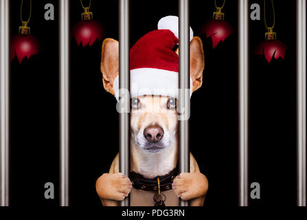 Mugshot eines weihnachten santa bösen Hund hinter Gittern in Gefängnis Stockfoto