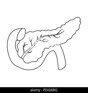 Pankreas Symbol in der gliederungsansicht Stil auf weißem Hintergrund. Organe symbol Vektor Illustration. Stock Vektor