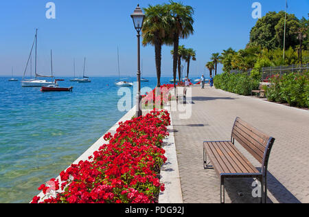Blume Seepromenade am Gardasee, Provinz Verona, Gardasee, Italien eingerichtet Stockfoto