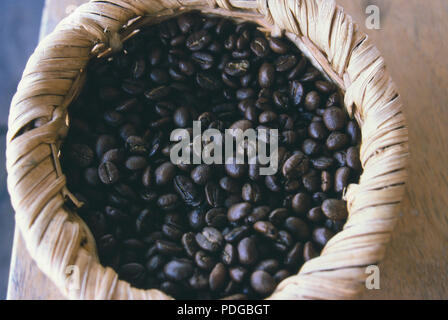 Kaffeebohnen von einer Plantage auf Vulkan Poas, Costa Rica. Foto Stockfoto