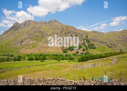 Langdale Pikes im Sommer Lake District National Park Cumbria England Vereinigtes Königreich GB Großbritannien Stockfoto