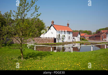 Weiß getünchte Hütte und Dorfteich im Frühjahr Bischof Burton in der Nähe von Beverley East Yorkshire England Großbritannien GB Großbritannien Stockfoto