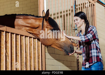 Junge Reiterin stehend in stabilen und petting Dark Horse Stockfoto