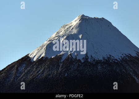 Patagonien, Sektor Hornopiren Stockfoto