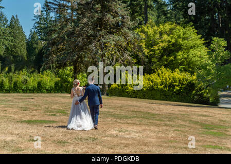 Bräutigam in einem Anzug und die Braut in einem weißen Kleid Spaziergang entlang des Grases in einem Park unter Bäumen und Sträuchern Stockfoto