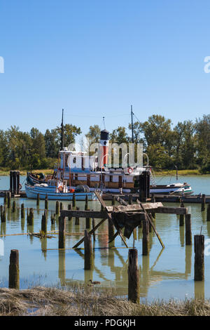 Blue Heron thront auf Reste einer alten Lachs Cannery mit angelegten Boote im Hintergrund Stockfoto