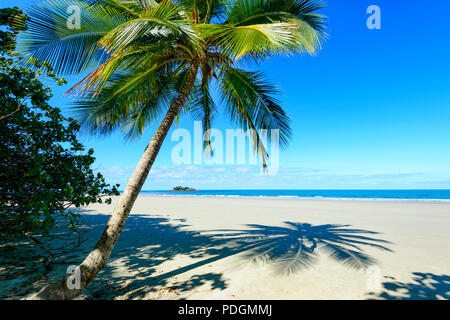 Palmen Schatten auf malerischen Thornton Beach, Daintree National Park, Cape Tribulation, Far North Queensland, FNQ, QLD, Australien Stockfoto