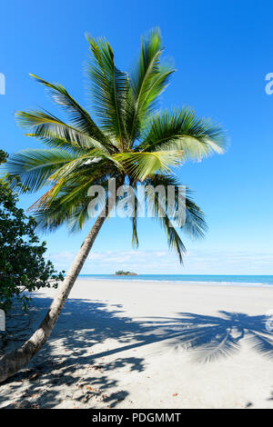 Palmen Schatten auf malerischen Thornton Beach, Daintree National Park, Cape Tribulation, Far North Queensland, FNQ, QLD, Australien Stockfoto