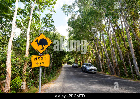 Gegenverkehr und Schild Warnung der Kasuare Überqueren der Straße, Daintree National Park, Cape Tribulation, Far North Queensland, FNQ, QLD, Australien