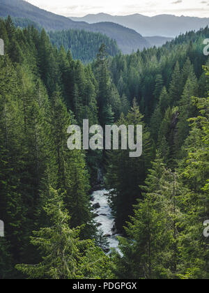 Nooksack River fließt durch Wald Tal aus Mt Baker zu Bellingham Washington Stockfoto