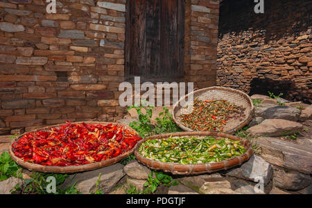 Rote, grüne und gelbe chilis Trocknen im Freien in der Sonne in der traditionellen Verbindung in Dirang, Arunachal Pradesh, Indien. Stockfoto