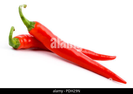 zwei rote chilly Peppers isoliert auf weißem Hintergrund Stockfoto