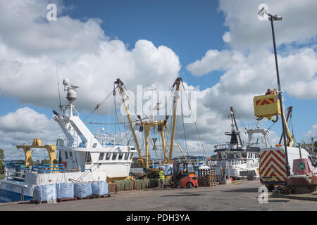 Blick auf den Hafen von Kirkcudbright zeigt ein Fang von Schalentieren entladen von einem Fischerboot. Stockfoto