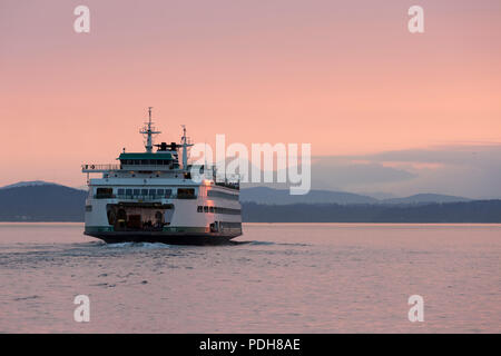 Seattle, Washington, USA. 8. August 2018. Die M/V Tacoma verlässt die Seattle Ferry Terminal wie eine Rauchfahne steigt über die Olympischen Berge von der Ahorn Feuer in der Nähe von Hamma Hamma. Waldbrände brennen in der Region sowie in Kalifornien und Oregon haben beeinträchtigt die Qualität der Luft im Puget Sound auf ein moderates Niveau. Credit: Paul Christian Gordon/Alamy leben Nachrichten Stockfoto