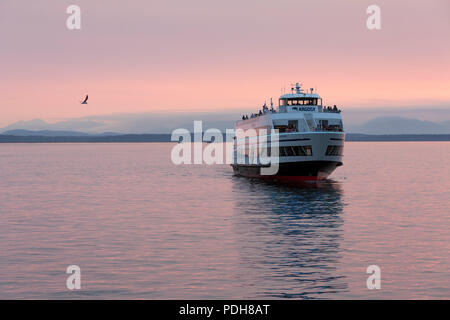 Seattle, Washington, USA. 8. August 2018. Eine Argosy Boot nähert sich Dock als Rauchfahne steigt über die Olympischen Berge von der Ahorn Feuer in der Nähe von Hamma Hamma. Waldbrände brennen in der Region sowie in Kalifornien und Oregon haben beeinträchtigt die Qualität der Luft im Puget Sound auf ein moderates Niveau. Credit: Paul Christian Gordon/Alamy leben Nachrichten Stockfoto