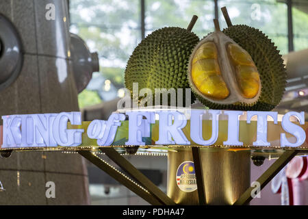 Sepang, Kuala Lumpur, Malaysia. 9 Aug, 2018. Malaysischen König der Früchte die Durian. Kuala Lumpur International Airport auch als KLIA bekannt ist der Malaysische internationalen Flughafen und es ist der 23 größten und verkehrsreichsten Flughafen der Welt durch den gesamten Personenverkehr. KLIA wurde am 27. Juni 1998 Von den 10 Yang di-Pertuan Agong, Tuanku Ja'afar von Negeri Sembilan eingeweiht. Credit: Faris Hadziq/SOPA Images/ZUMA Draht/Alamy leben Nachrichten Stockfoto