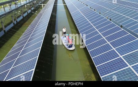 Tianchan, Tianchan, China. 10 Aug, 2018. Tianchang, CHINA - photovoltaische Kraftwerke am Fischteich in Tianchang gesehen werden, der ostchinesischen Provinz Anhui. Die lokale Regierung bemüht sich, die Fischzucht industrie mit PV-Industrie, die das Einkommen der Bauern verbessert zu kombinieren. Credit: SIPA Asien/ZUMA Draht/Alamy leben Nachrichten Stockfoto