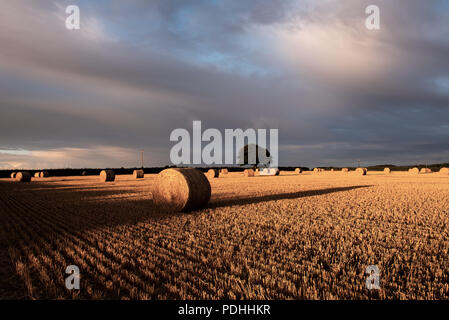 Rousdon, in der Nähe von Lyme Regis, East Devon, Großbritannien. 10. August 2018. UK Wetter: Sonne und brütende dunkle Wolken im Rousdon, East Devon. Die frühe Morgensonne leuchtet durch dunkle Gewitterwolken bis Beleuchtung ein Feld von Strohballen und werfen lange Schatten voraus schwere Unwetter in ländlichen East Devon. Credit: Celia McMahon/Alamy leben Nachrichten Stockfoto