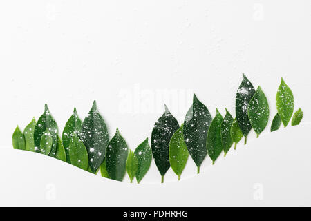 Bergwald Baumgrenze aus grünen Blättern, Minimal Art Konzept. Flaches Design für Boden zurück, Stockfoto