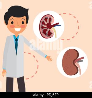 Arzt professionelle Niere Organe Teil Stock Vektor